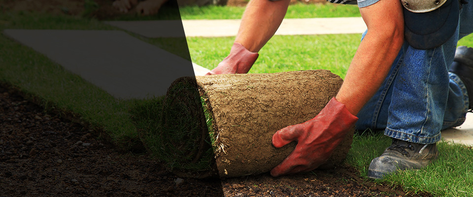 Gladys Landscapers